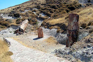 Lesvos Island UNESCO Global Geopark